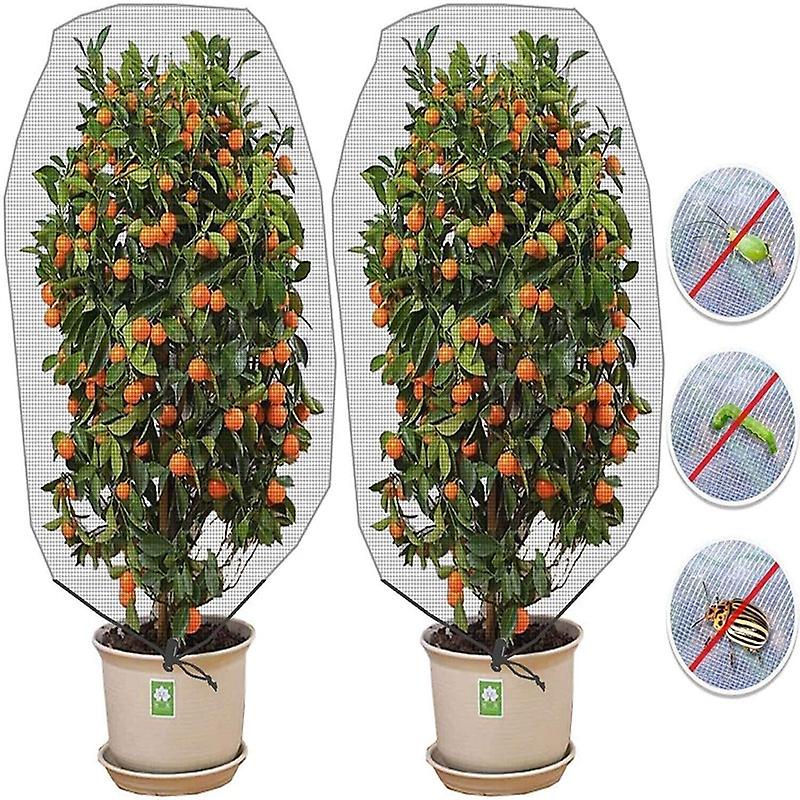 Set Mit 2 Weißen Pflanzenschutznetzen (100 X 150 Cm) – Schutz Vor Vögeln Und Insekten Für Gemüse Und Obst