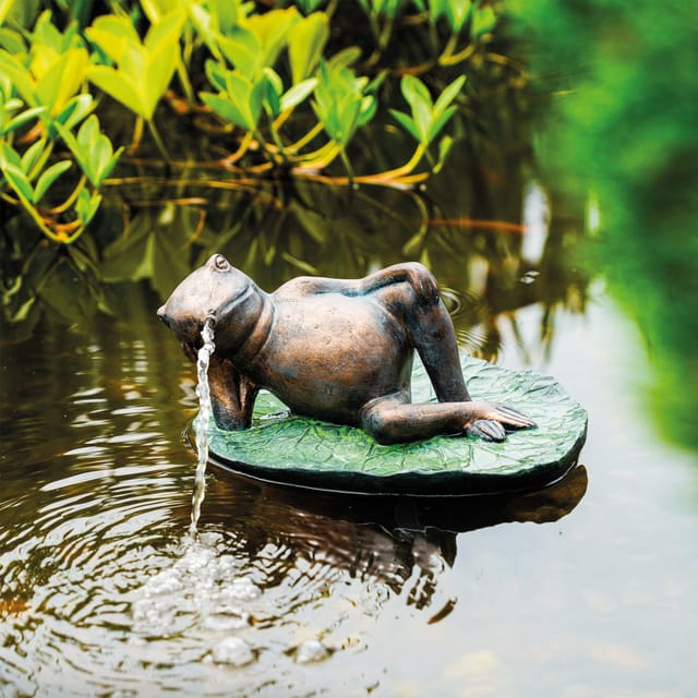 esotec Wasserspeier Solar Teichfigur Komplettset Frosch auf Seerosenblatt H=17cm 101664 (Komplettset)