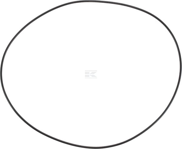 O-ring As-motor G00006064