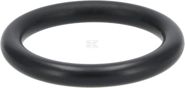 O-dichtung Deutz 01180975
