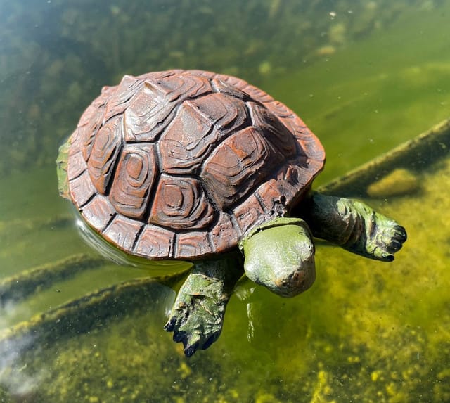 LB H&F Lilienburg Teichfigur Schildkröte Teichfigur Teichdeko Schwimmfigur Schwimmtier Miniteich, (Schwimmtier Miniteich Teich Fischteich Zinkwanne Gartenteich Dekoration Figur Teichfigur Gartendekoration Tier Aquarium teichbecken deko brunnen, zierteich dekofigur gartenfigur schwimmend Schwimmfigur gartendeko), schwimmt, wetterfest, detailgetreu