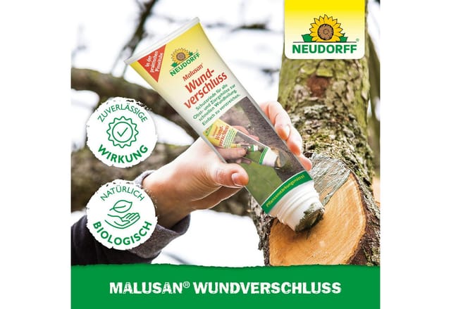 Neudorff Baum-Wundverschluss Malusan Wundverschluss Pinseltube 125 ml, 125 ml, Effektive Wundheilung an Obst- und Ziergehölzen, Schützt vor Keimen und Pilzen, gebrauchsfertig, in praktischer Pinseltube