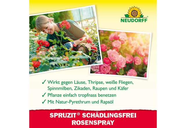Neudorff Insektenspray Spruzit AF Schädlingsfrei RosenSpray 750 ml, 0.75 l, Anwendungsfertiges Spray zur Bekämpfung von Blattläusen, Spinnmilben und weiteren Schädlingen an Rosen, zugelassen auch für die Anwendung im Freiland