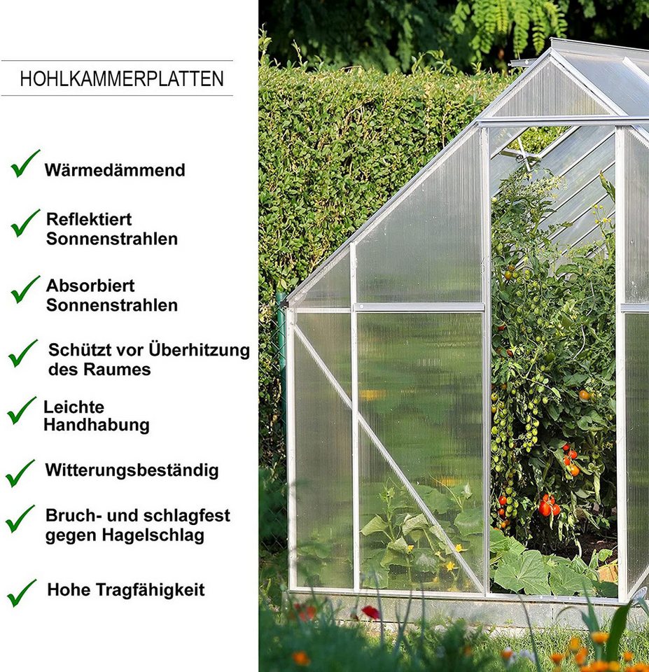 Floordirekt Doppelstegplatte aus Polycarbonat 60,5 x 121 cm, 4/6/10/16 mm, bis 85% Lichtdurchlässig, 10 mm, (1-St), wetterfeste Hohlkammerstegplatten, UV-beständig, ideal für Gewächshaus Bild 5