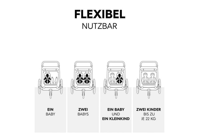 Hauck Fahrradkinderanhänger Baby Lounger 2 Grey, mit Beindecke