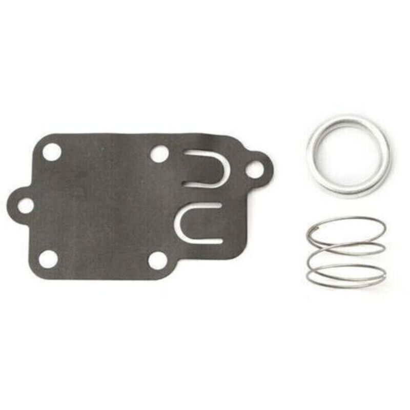 Membran Vergaser Briggs Und Stratton