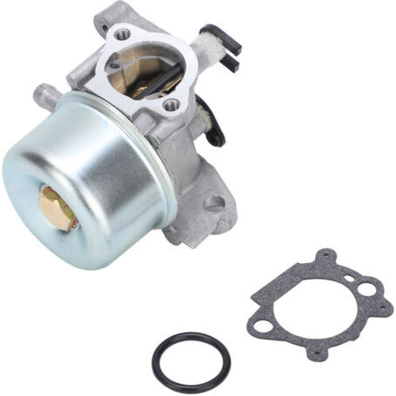 Ersatzvergaser Für Gartenmotoren – Rostbeständiges Metall – Einfache Installation – Kompatibel Mit 790845 799871 799866 796707 794304