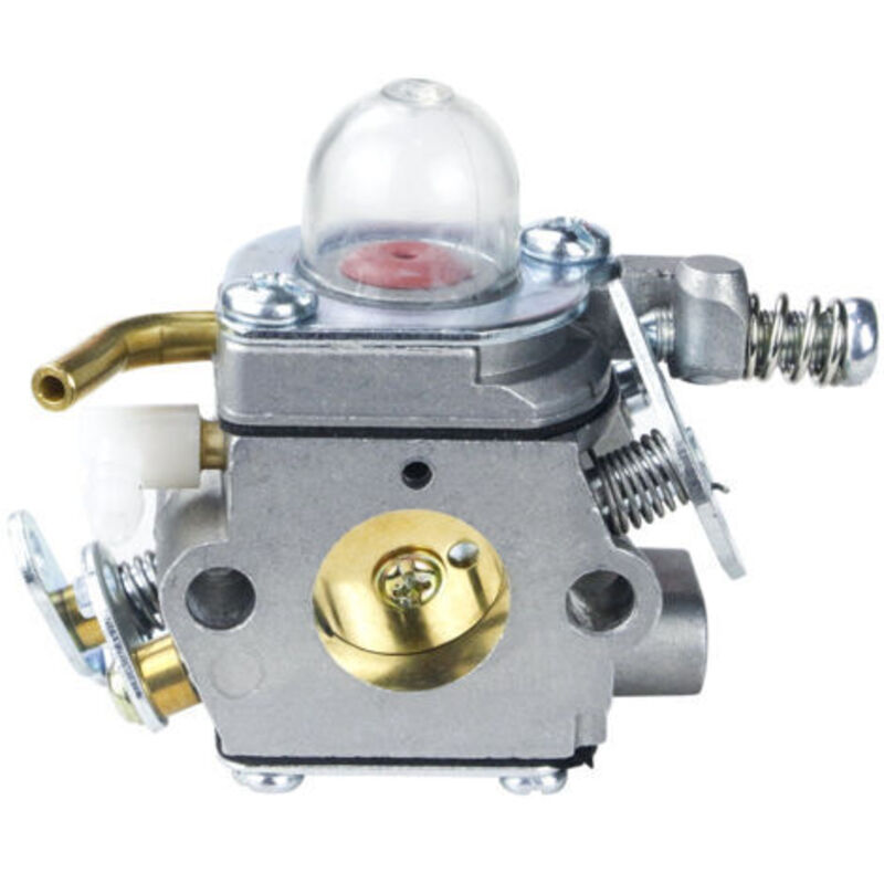Vergaser Cas-55 Für Alpina Castor Knc Vergaser, Marken 52 55