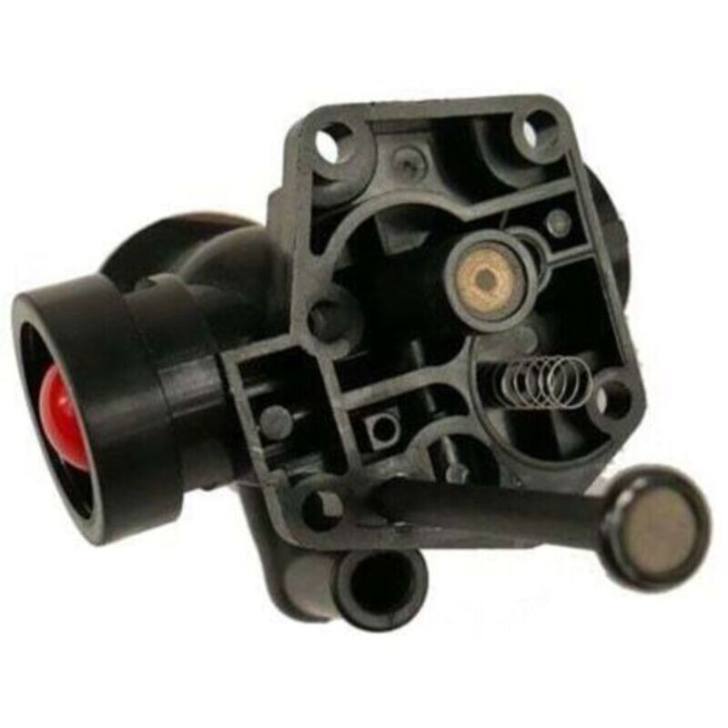 Vergaser Briggs Stratton Auf Tank 498811