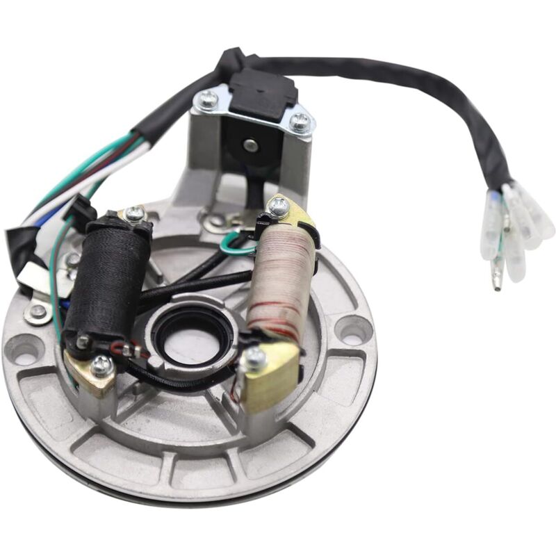 Stator-magnetzünder Mit 2 Spulen, Ersatz Für Atv, Dirt Bike Und Go-kart 50 Cc 70 Cc 90 Cc 110 Cc 125 Cc Mit Kickstarter