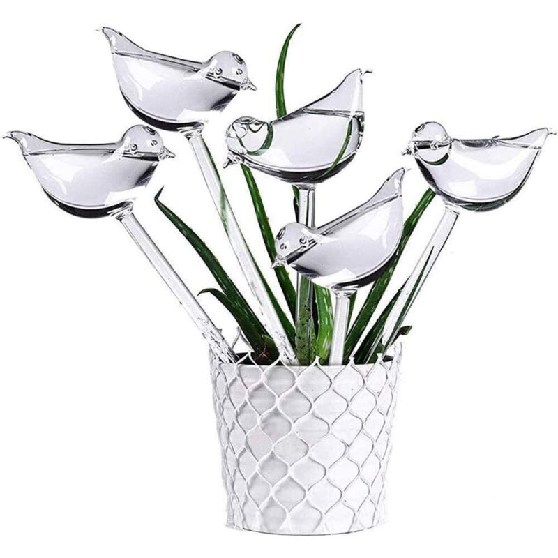 Automatisches Glas-bewässerungssystem, 5-teilig, Transparente Kugelförmige Vogel-gießhilfe Für Zimmerpflanzen, Garten, Stäbe, Blumen Von Npterbl