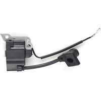 Wanshi Ensemble Hochspannung Für Rasenmäher Gx25 Zündspule Zündspule Assy Zündung H740