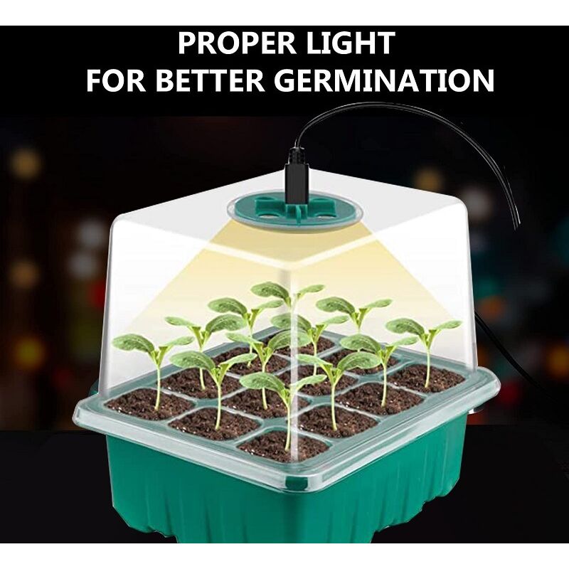 Neues Mini-gewächshaus-set Mit 5 Teilen Für Pflanzen, Mit Vollspektrum-solarlicht, Innengewächshaus Mit Deckel Und Npterbl-lüftungsöffnungen