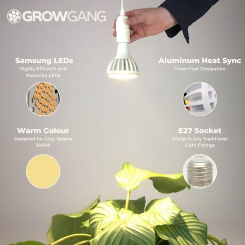 Wachstumslampen Für Zimmerpflanzen – Led-vollspektrum-glühbirne, Gartenbau, Innenwachstumslampe Für Den Anbau Von Sukkulenten, Keimung, E27
