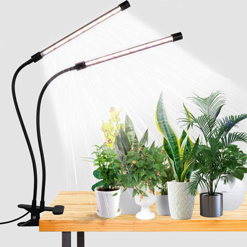 40-w-led-wachstumslampe Mit Adapter, Zimmerpflanzenlampe – Schwarz