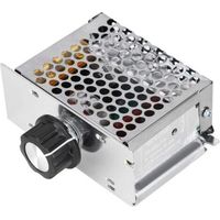 Motor Angetrieben Durch 220v, 4000w Wechselspannungsregler, 220v Stromversorgung, Geschwindigkeitsregler Für Motor, Drehzahlregler Für Elektromotor