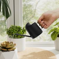 Kleine Gießkanne Aus Edelstahl Für Zimmer- Und Außenpflanzen - Langer Ausguss - 283,5 G - Schöne Dekoration Für Bonsai (bronze)