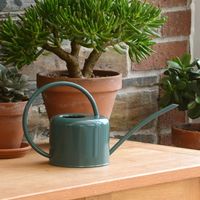 Kleine 1,1l Zimmergießkanne Aus Pulverbeschichtetem Stahl In Kreidefarbe, Mit Schmalem Ausguss Und Hohem Griff, Für Moderne Zimmerpflanzen Im Design-look (grün)