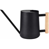 1-liter-gießkanne Aus Edelstahl – Schwarze Gießkanne Für Innen- Und Außenbereich Mit Langem Ausguss Und Holzgriff, Zum Bewässern Von Zimmerpflanzen, Bonsai, Sukkulenten Und Blumen