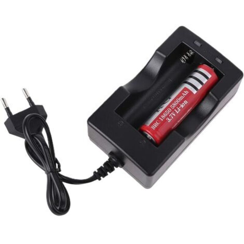 Schnellladegerät Für Batterien, 100-240v Weltweite Spannung, Schwarz