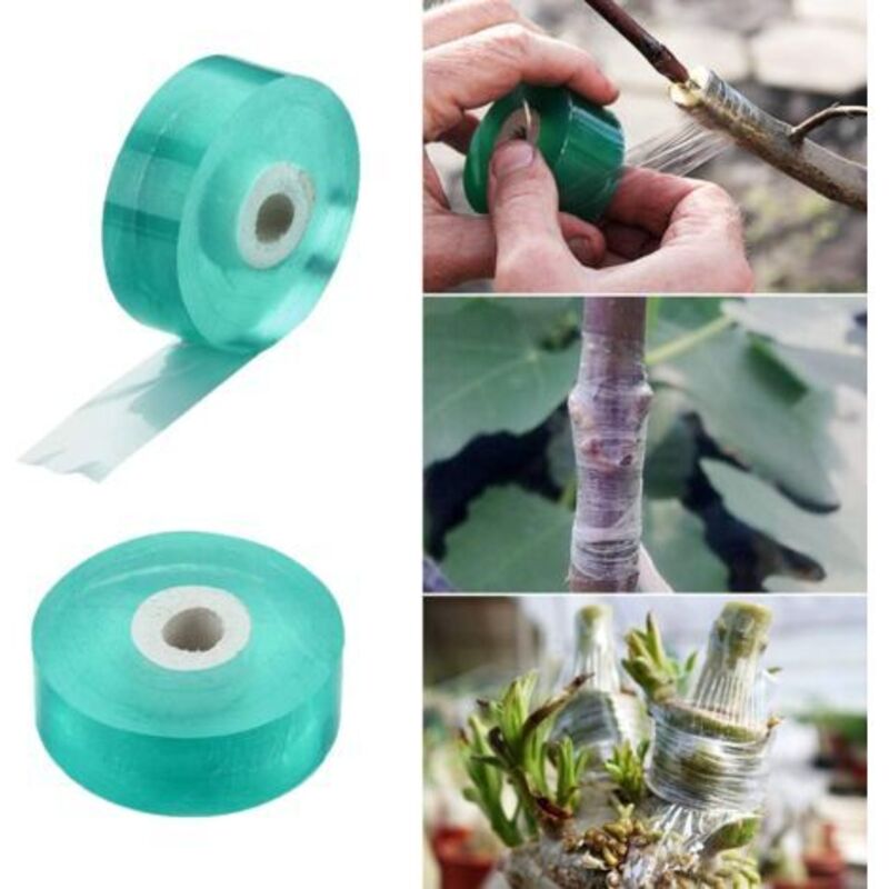 2er-set Pflanzbänder Für Obstbäume, 20 Mm Breit, Biologisch Abbaubare Feuchtigkeitsbarriere, Transparentes, Dehnbares Floristenband