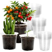 Kunststoff-blumentöpfe, Anzuchttöpfe, 10/12,7/16,5 Cm, 15 Stück Kulturtöpfe Zum Umtopfen, Transparente Pikiertöpfe Für Die Aussaat, Orchideen Und Samen – Gemischte Größen