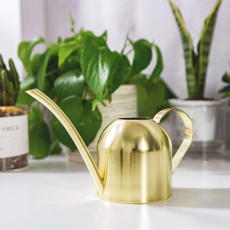 Edelstahl-gießkanne, Kleine Gießkanne Mit Langem Ausguss Für Haus, Innen- Und Außenbereich, Garten, Sukkulenten, 500 Ml (gold)