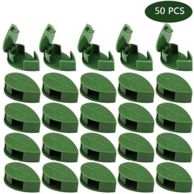 Set Aus 50 Selbstklebenden Pflanzenhaltern, Pflanzenverbinder-clips Für Kletterpflanzen, Wandbefestigung, Pflanzenclips Für Pflanzstützen