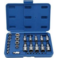 Satz Mit Weiblichen/männlichen Torx-steckschlüsseln T8-t55 Im Koffer