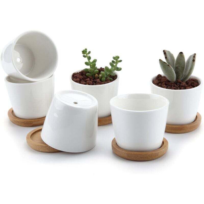 6,5 Cm Keramik-sukkulententopf In Weiß Mit Bambus-untersetzer, 6er-set, Kakteen-pflanzer, Blumentopf, Übertopf, Geschenk Für Geburtstag Und Hochzeit