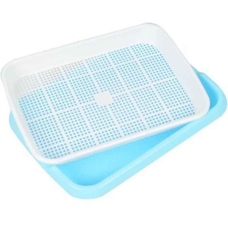 Samenkeimlingsschale, Keimsamen, Weizensamen, Kräuter, Hydroponik, Langlebige Keimschale Für Garten, Haus, Büro