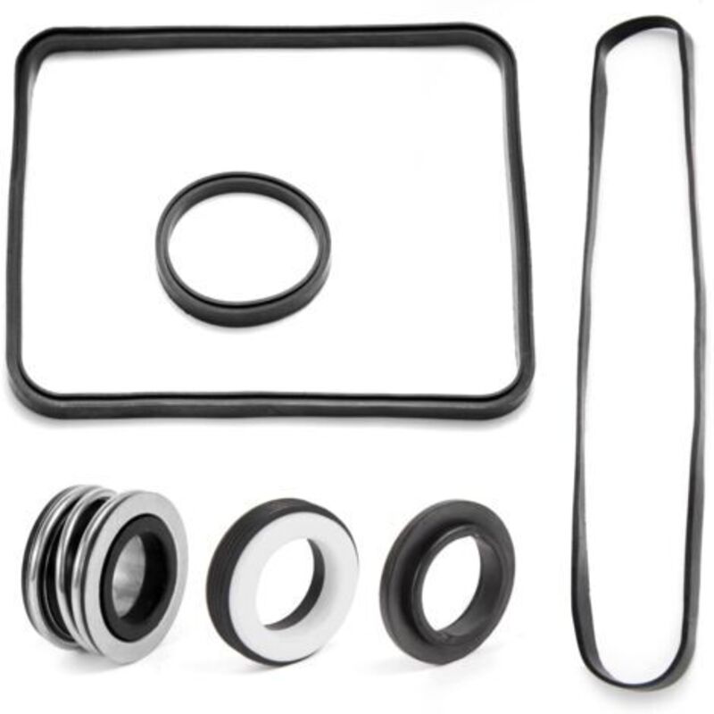 Dichtungssatz Super Pump Für Sp2600 Sp1600 Sp2600x 1600 1600x Kompatibel Mit Den Modellen Normal/x/vsp