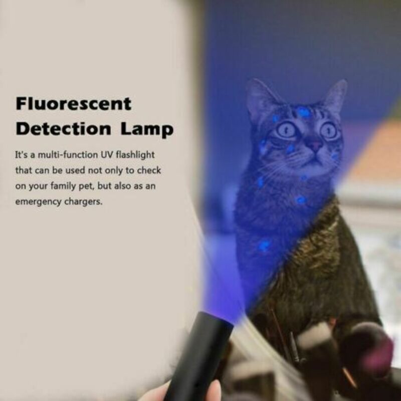 Uv-lampe Gegen Haarlinge, 365 Nm Pilztestlampe, Usb-aufladbare Uv-taschenlampe Zur Fluoreszenzerkennung