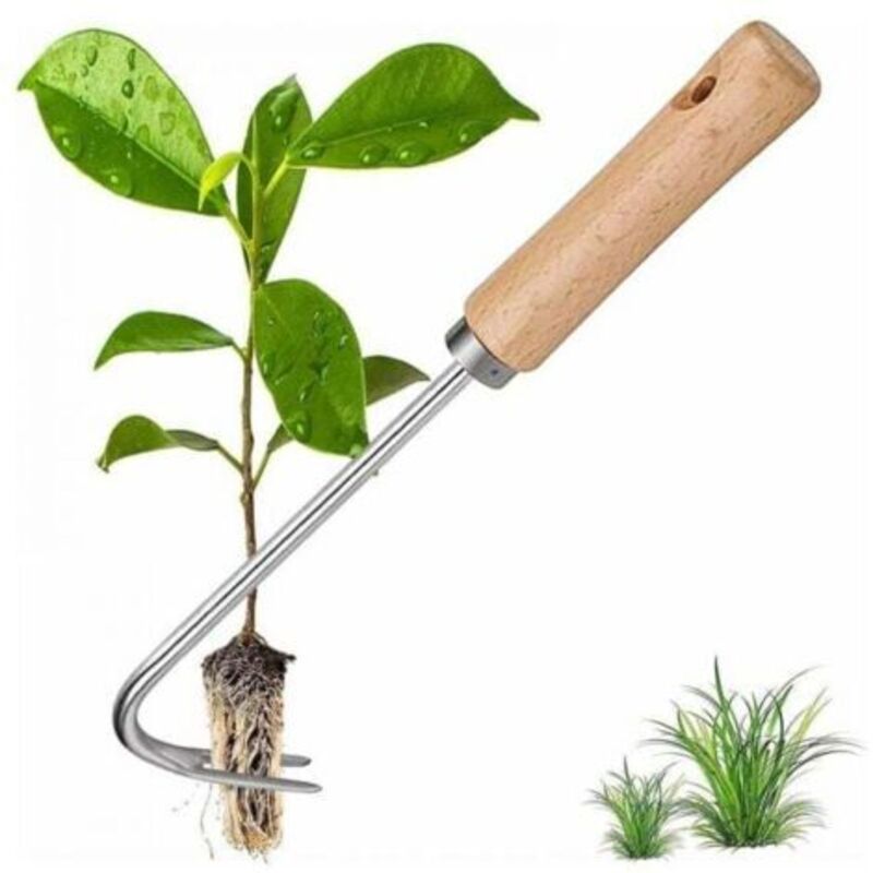 Edelstahl-unkrautentferner, Manueller Unkrautstecher Mit Holzgriff Für Den Garten, Edelstahl-unkrautjäter Zum Entfernen Von Unkraut In Ihrem Garten