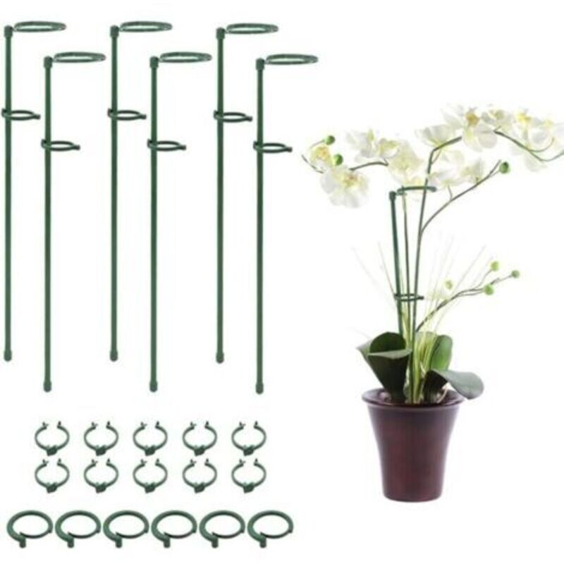 6 Stück Pflanzenkäfig-heringe Mit Befestigungsschlaufe Für Pflanzen, Blumen, Orchideen, Pfingstrosen Und Rosen, Pflanzenstützpfahl, Gartenstab, Blumenstab Mit Einzigartigem Stiel