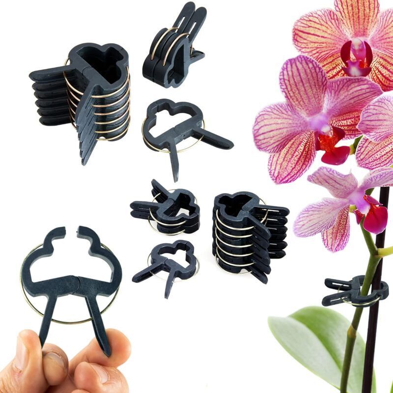 60x Pflanzenhalter, Bindungen Für Tomatenstangen, 4cm / 6cm Ranken, Rosen, Unterstützung Für Kletterpflanzen, Pflanzstäbe, Einfache Befestigung, Wiederverwendbar