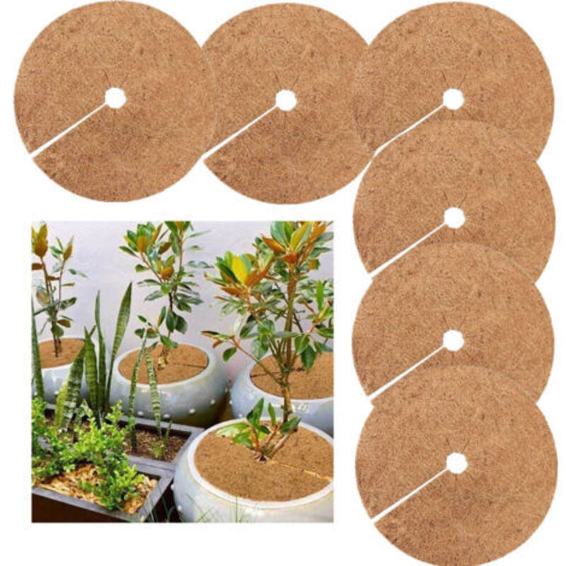 Biologisch Abbaubare Kokos-abdeckscheiben – 6er-pack – 20 Cm Durchmesser – Winterschutz Für Topfpflanzen