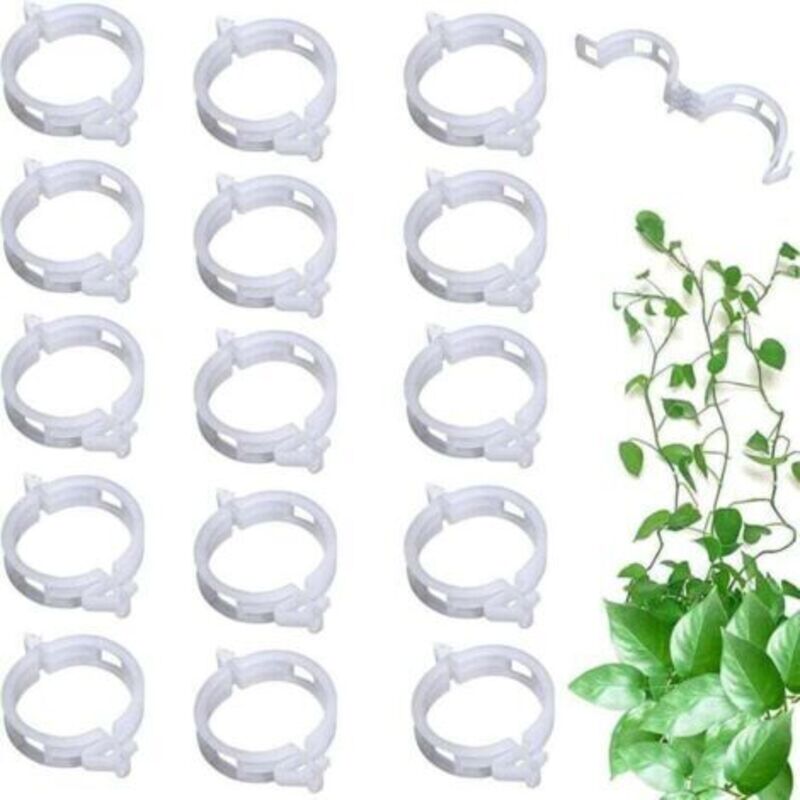 100 Stück Tomatenklammern, Pflanzenklammern, Veredelungs- Und Wachstumsclips, Halterungen Für Gemüsepflanzen Im Garten, Klammern Für Tomatenranken Und Stängel Für Gerades Und Gesünderes Wachstum, Wied