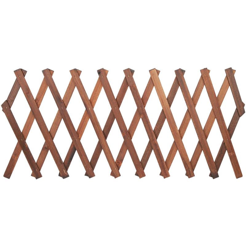 Erweiterbares Kiefernholz-gitter Für Kletterpflanzen – Verstellbare Abmessungen 120 X 35 Cm, 155 X 30 Cm, 180 X 25 Cm – Robuste Stütze Für Weinreben Und Blumen