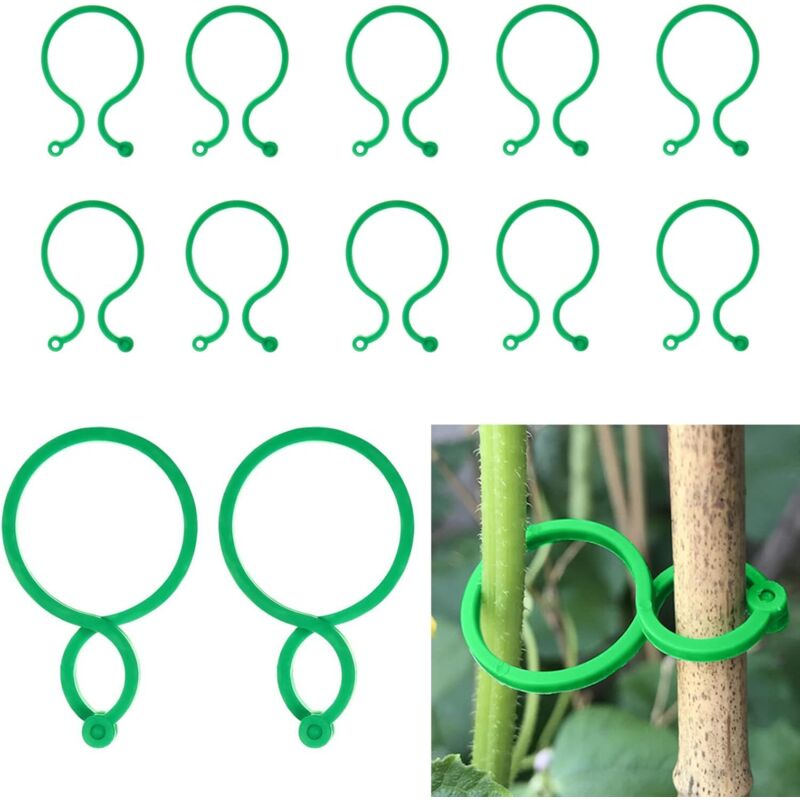 Gartenpflanzen-clips, Pflanzenstützen Mit Schnappverschluss, 50 Wiederverwendbare Kunststoffclips Für Tomaten, Robuste Und Drehbare Stützen Für Orchideen Und Kletterpflanzen (4 Cm X 2,7 Cm)