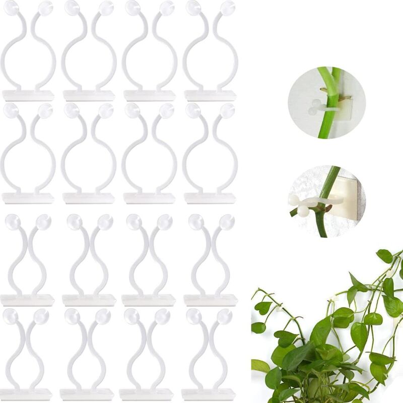 100er-pack Pflanzenhalter-clips, Selbstklebende Pflanzenclips, Wandclips Für Kletterpflanzen Im Garten, Klebehaken Für Kletterpflanzen, Kabelbefestigung Oder Dekoration.