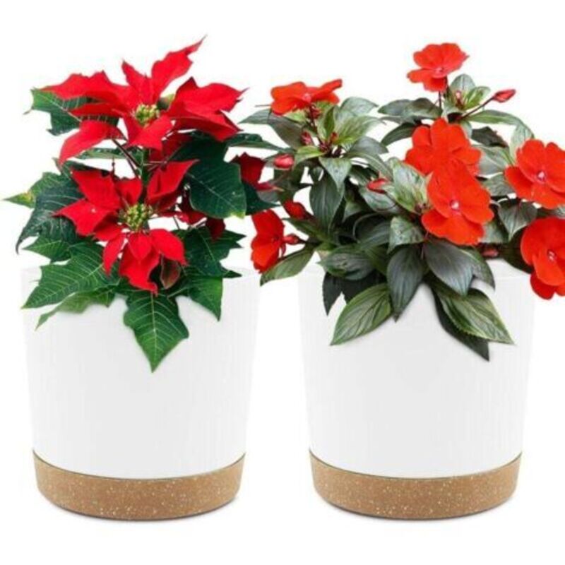 2er-set Pflanzentöpfe 16,5 Cm, Zimmerpflanzentöpfe Mit Drainagelöchern Und Abnehmbarem Untersetzer, Moderne Dekorative Untertasse Für Außenpflanzgefäße (weiß 16,5 Cm)