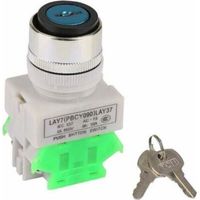 Metall-verriegelungsschalter + Sicherheitsschlüssel, 3-stellungen Lay37-20y/31, 220v 5a Drehschalter, Einbaudurchmesser 22 Mm Mit 2 Schlüsseln