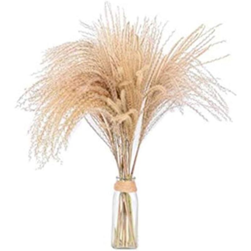 10 Stück Natürliches Pampasgras, Getrocknete Blumen, Große Trockendeko-vasen, Hochzeit Zeremonie Blumenstrauß, Modischer Kunstblumenstrauß (60cm)