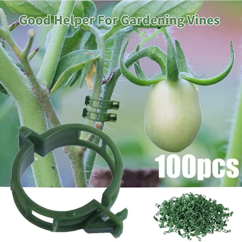 100er-pack Pflanzenstützklammern, Ideal Für Tomaten, Bindeschnüre, Seile, Spaliere Für Weinreben, Käfige, Kletterpflanzen, Gemüse, 2,5 Cm.