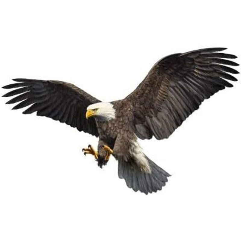 2x Autoaufkleber Adler, Wasserdichter Motorhauben-aufkleber Mit Fliegendem Adler Aus Vinyl, Universeller Diy-sticker Für Fenster, Stoßstange, Wand Oder Laptop