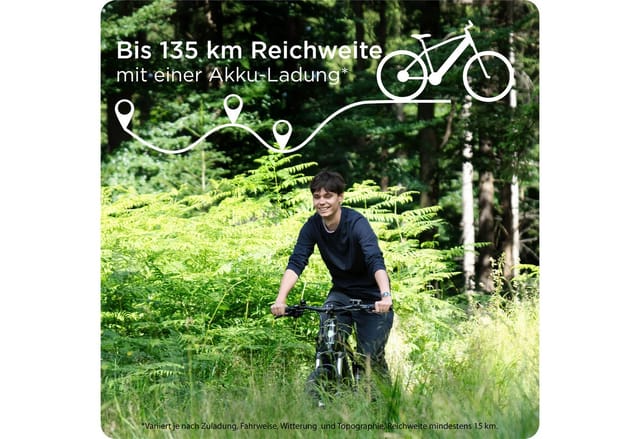 Zündapp E-Bike Mountainbike Z890, 10 Gang Shimano, Kettenschaltung, Heckmotor, 540 Wh
