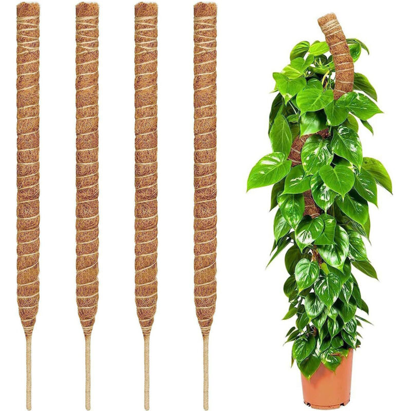 Schaumstoff-pflanzstäbe Für Monstera – 2er-pack, 71 Cm Flexible Stäbe Für Monstera-pflanzen, Innenpflanzen-stützen, Kletterpflanzen-halterungen.