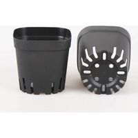 Anzuchttöpfe, 5,5 Cm, 50 Stück, Kunststoff, Wiederverwendbar, Quadratisch, Für Innen- Und Außenbereich, H135