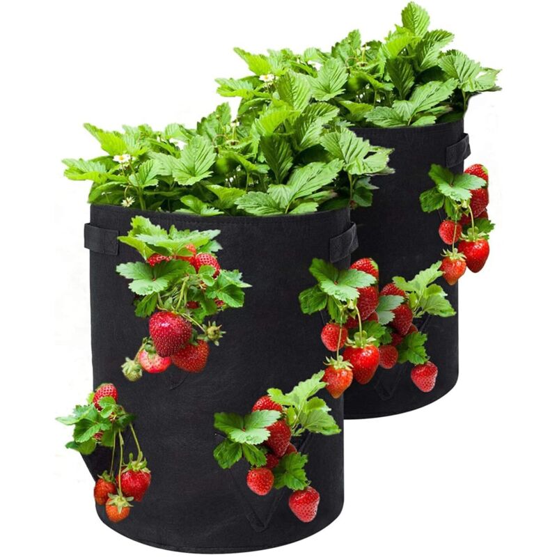 Pflanzsack Für Erdbeeren, 2er-set Mit Je 10 Gallonen Pflanzsäcken Und 8 Seitlichen Pflanztaschen, Atmungsaktiver Vliesstoff Mit Verstärkten Griffen Für Gartenerdbeeren, Kräuter Und Blumen
